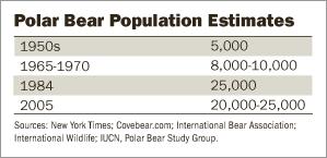polar_bear_numbers